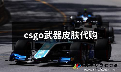 csgo武器皮肤代购