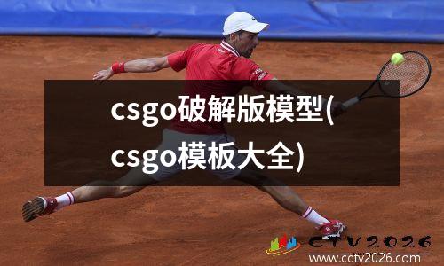 csgo破解版模型(csgo模板大全)