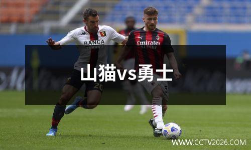 山猫vs勇士