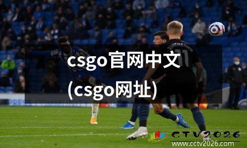 csgo官网中文(csgo网址)