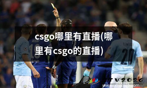 csgo哪里有直播(哪里有csgo的直播)