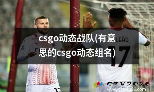 csgo动态战队(有意思的csgo动态组名)