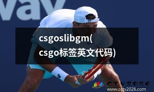 csgoslibgm(csgo标签英文代码)