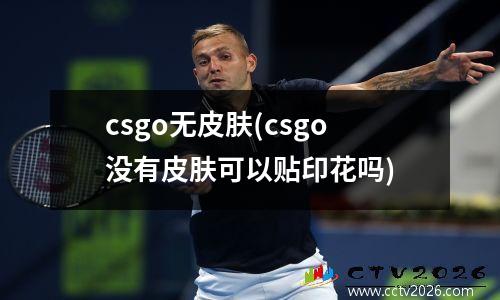 csgo无皮肤(csgo没有皮肤可以贴印花吗)