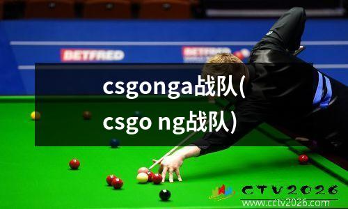 csgonga战队(csgo ng战队)