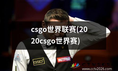 csgo世界联赛(2020csgo世界赛)