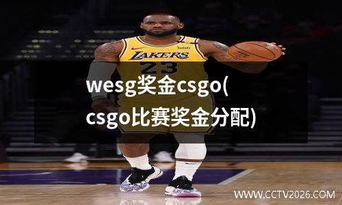 wesg奖金csgo(csgo比赛奖金分配)