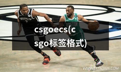 csgoecs(csgo标签格式)