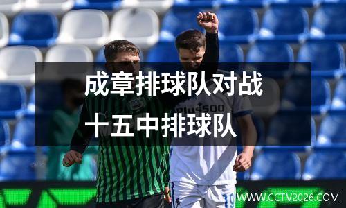 成章排球队对战十五中排球队