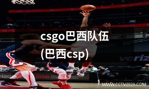 csgo巴西队伍(巴西csp)