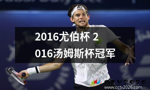 2016尤伯杯 2016汤姆斯杯冠军