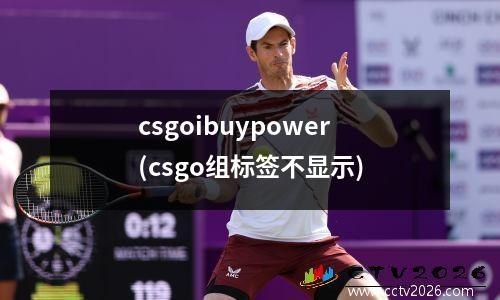 csgoibuypower(csgo组标签不显示)