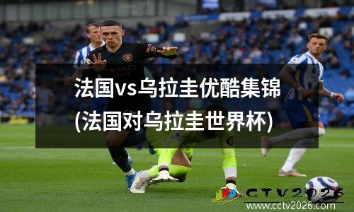 法国vs乌拉圭优酷集锦(法国对乌拉圭世界杯)