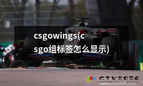 csgowings(csgo组标签怎么显示)