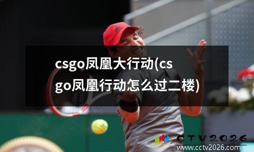 csgo凤凰大行动(csgo凤凰行动怎么过二楼)
