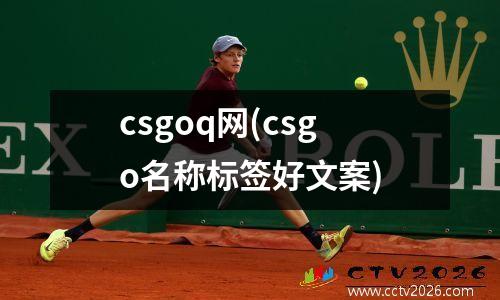 csgoq网(csgo名称标签好文案)