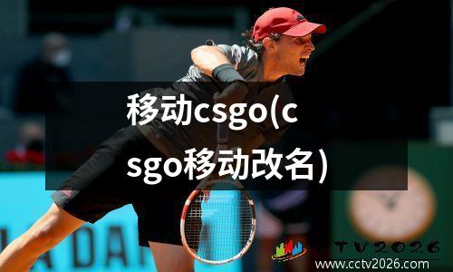 移动csgo(csgo移动改名)