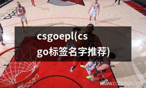 csgoepl(csgo标签名字推荐)