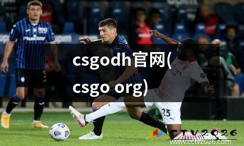 csgodh官网(csgo org)