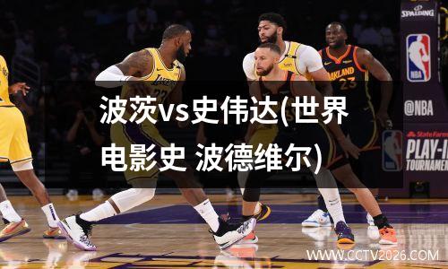 波茨vs史伟达(世界电影史 波德维尔)