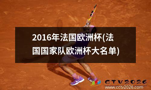 2016年法国欧洲杯(法国国家队欧洲杯大名单)