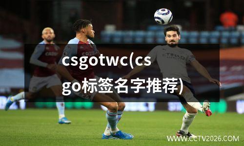 csgotwc(csgo标签名字推荐)