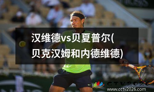 汉维德vs贝夏普尔(贝克汉姆和内德维德)