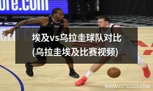 埃及vs乌拉圭球队对比(乌拉圭埃及比赛视频)