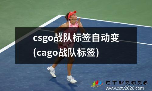 csgo战队标签自动变(cago战队标签)