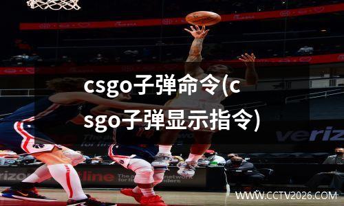 csgo子弹命令(csgo子弹显示指令)