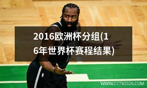 2016欧洲杯分组(16年世界杯赛程结果)