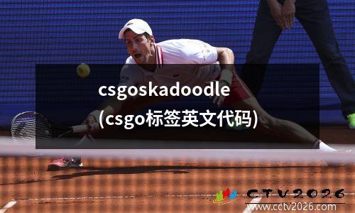 csgoskadoodle(csgo标签英文代码)
