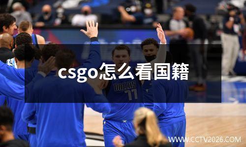 csgo怎么看国籍