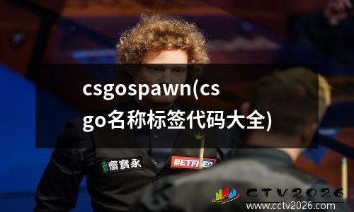 csgospawn(csgo名称标签代码大全)