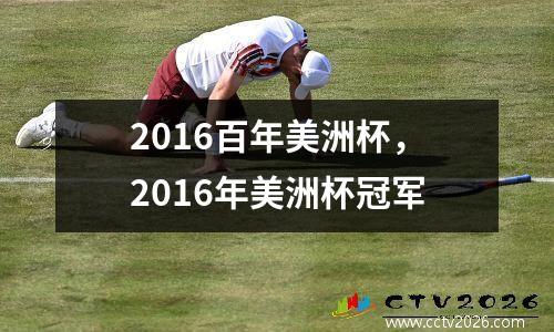 2016百年美洲杯，2016年美洲杯冠军