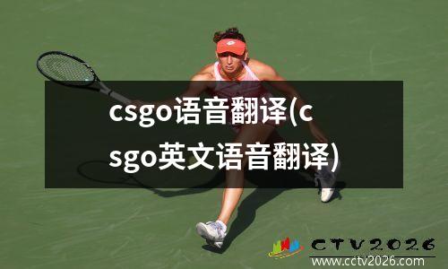 csgo语音翻译(csgo英文语音翻译)