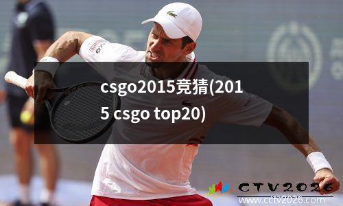csgo2015竞猜(2015 csgo top20)