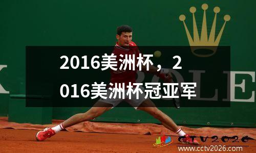 2016美洲杯，2016美洲杯冠亚军