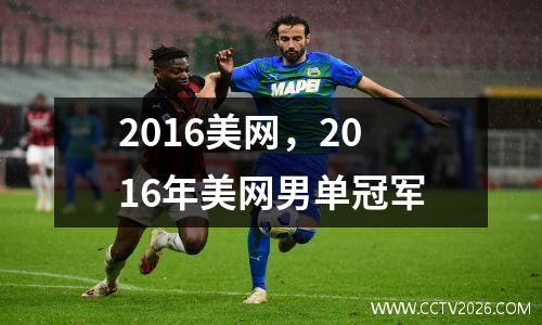 2016美网，2016年美网男单冠军