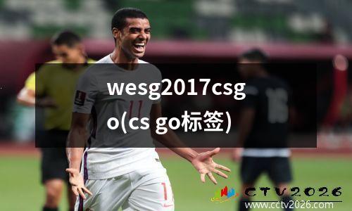 wesg2017csgo(cs go标签)