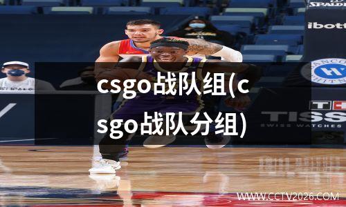 csgo战队组(csgo战队分组)