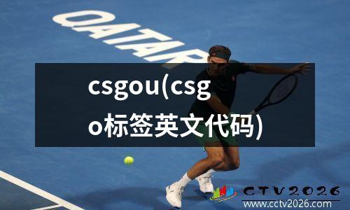 csgou(csgo标签英文代码)