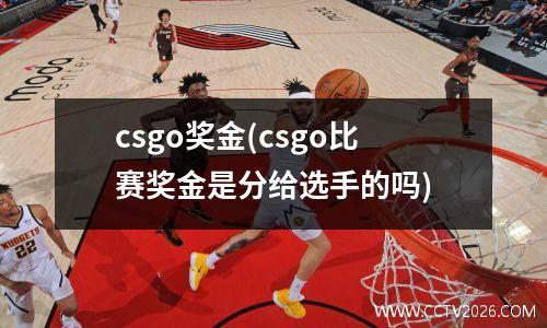 csgo奖金(csgo比赛奖金是分给选手的吗)