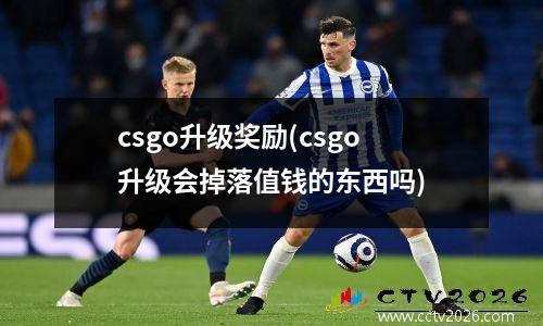 csgo升级奖励(csgo升级会掉落值钱的东西吗)