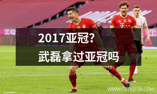 2017亚冠？武磊拿过亚冠吗