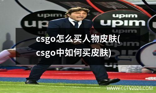 csgo怎么买人物皮肤(csgo中如何买皮肤)