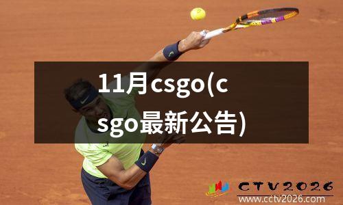 11月csgo(csgo最新公告)