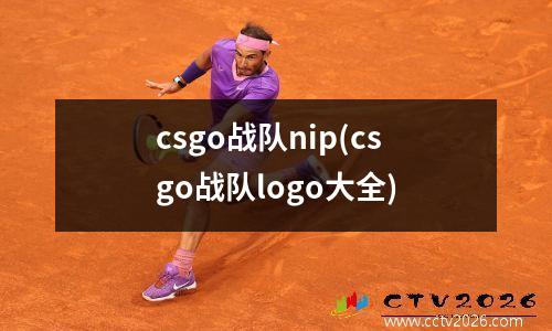 csgo战队nip(csgo战队logo大全)