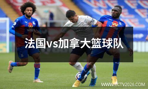 法国vs加拿大篮球队