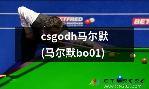 csgodh马尔默(马尔默bo01)